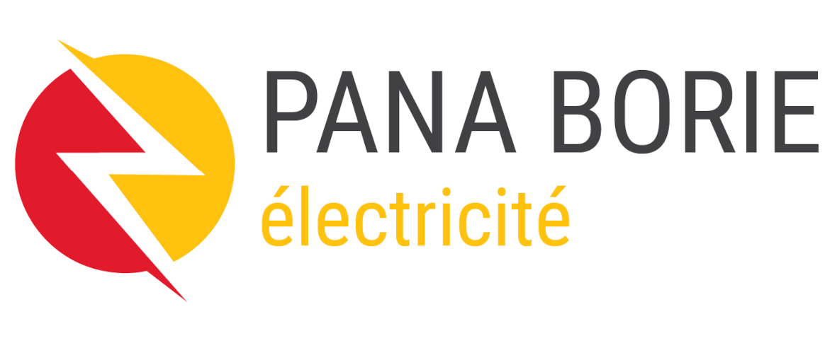 Visuel Pana Borie Électricité
